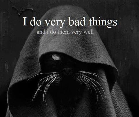 i_do_very_bad_things.jpg