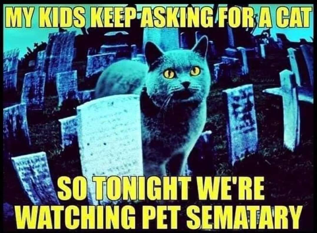 kids_asking_for_a_cat.jpg