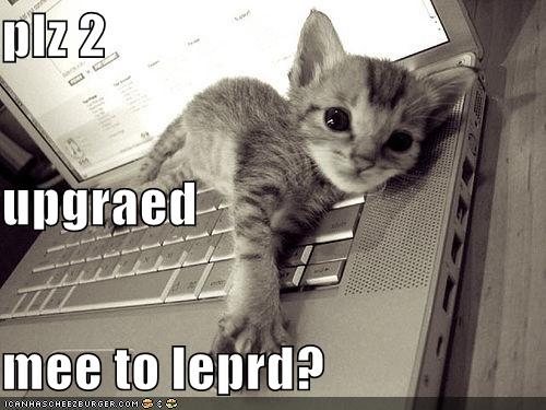 kitten-macbook-leopard.jpg