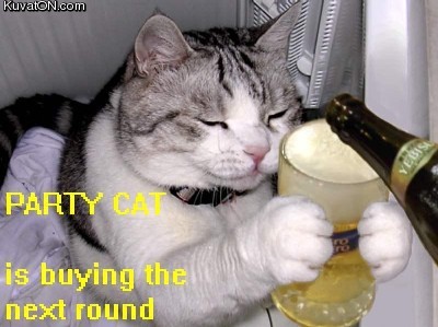 party_cat.jpg