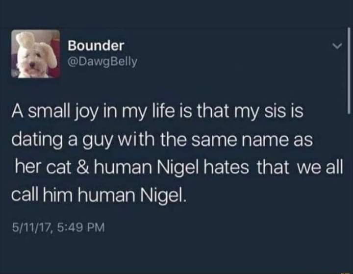 small_joy_human_Nigel.jpg