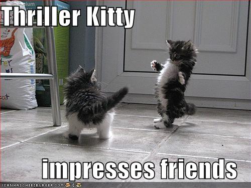 thriller_kitty.jpg