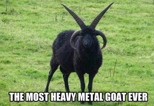 metal_goat.jpg