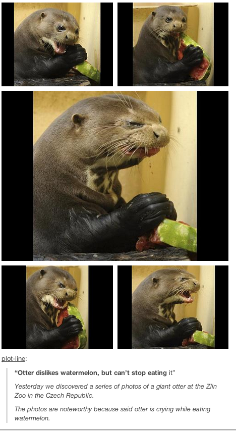 otter_watermelon.png