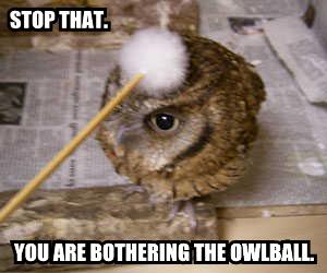 owlball.jpg