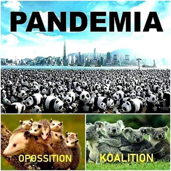 pandemia.jpg
