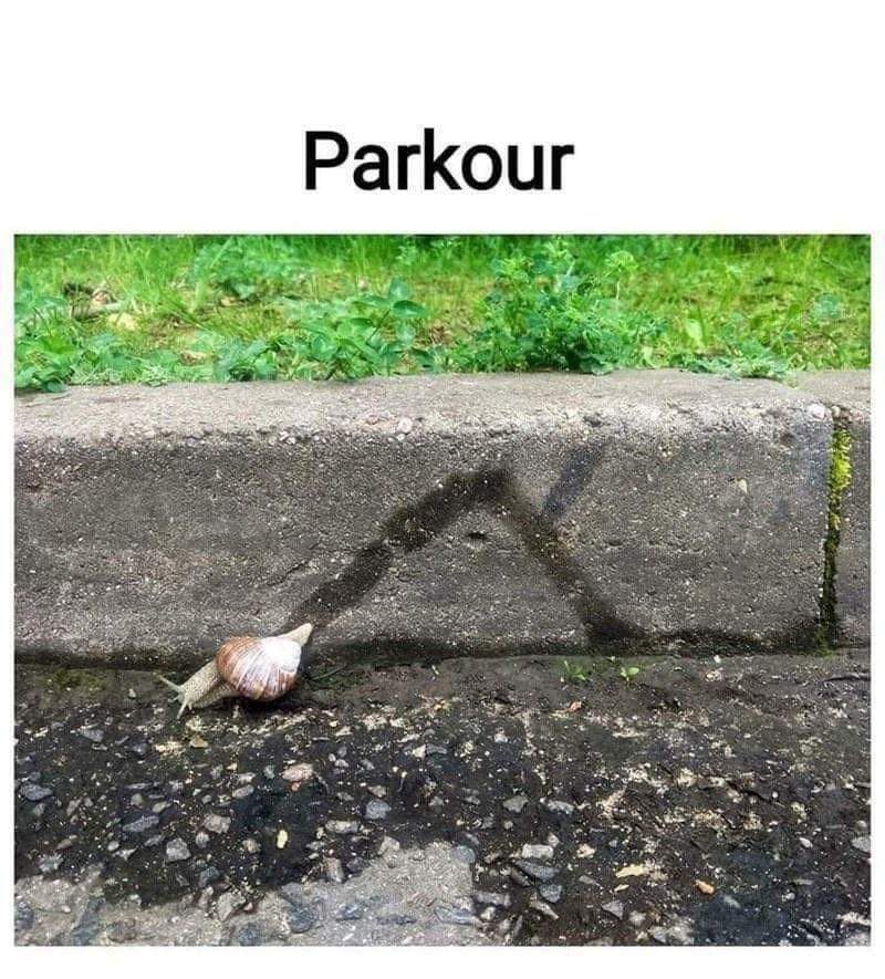 parkour.jpg