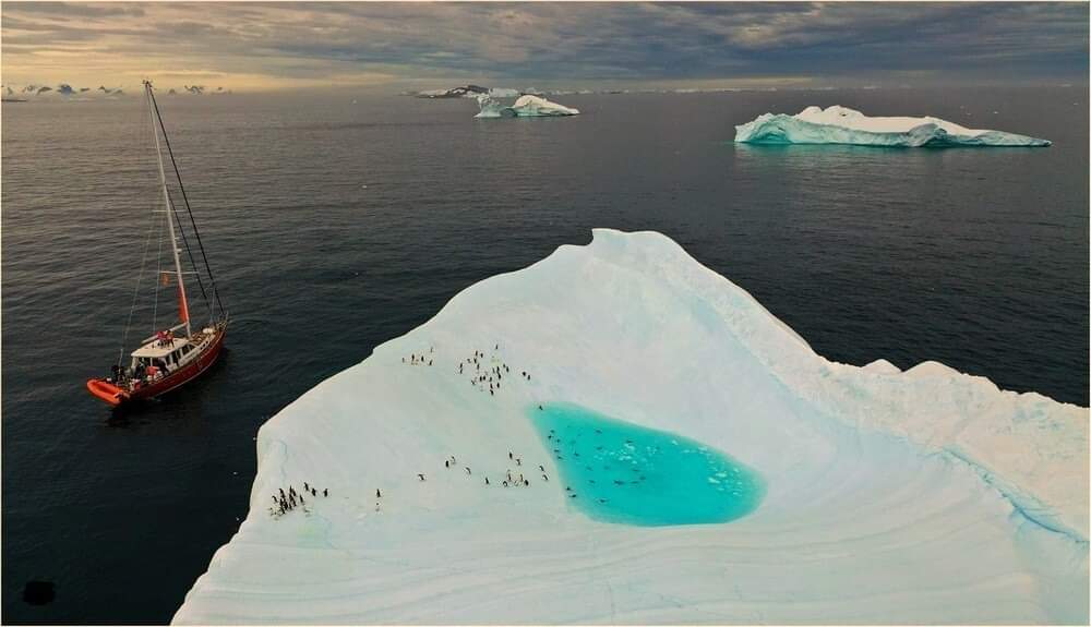 pingvini_na_iceberg.jpg