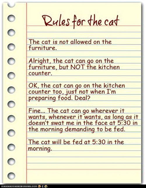 rules_for_the_cat.jpg