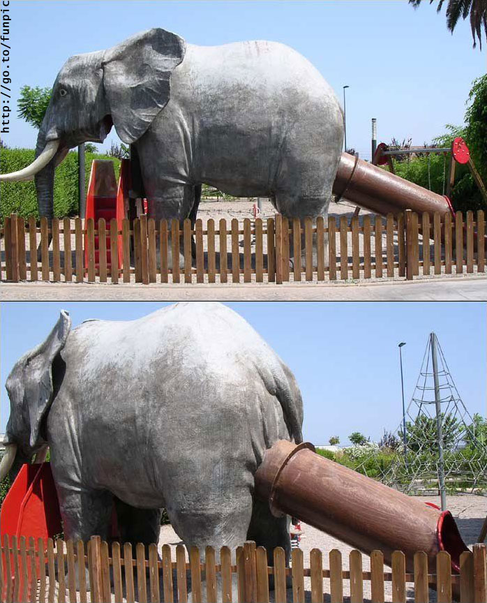 slonjaa.jpg