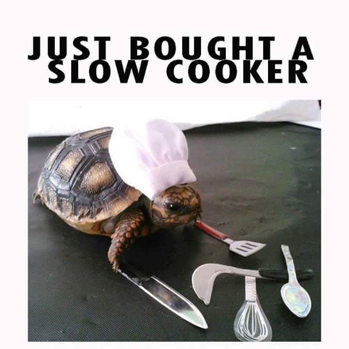 slow_cooker.jpg