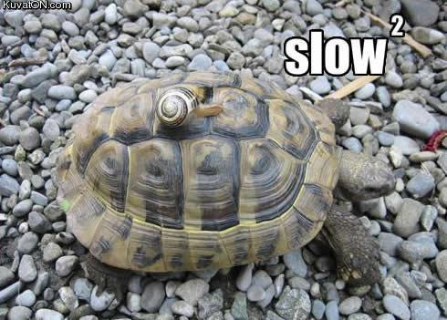 slow_squared.jpg