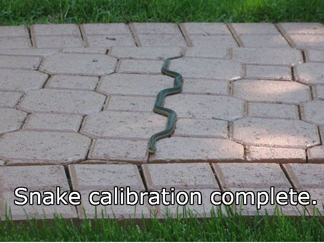 snake_calibration.jpg