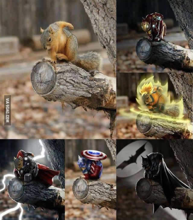 superhero_squirrel.jpg