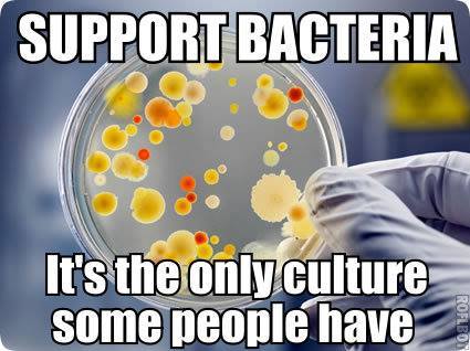 support_bacteria.jpg