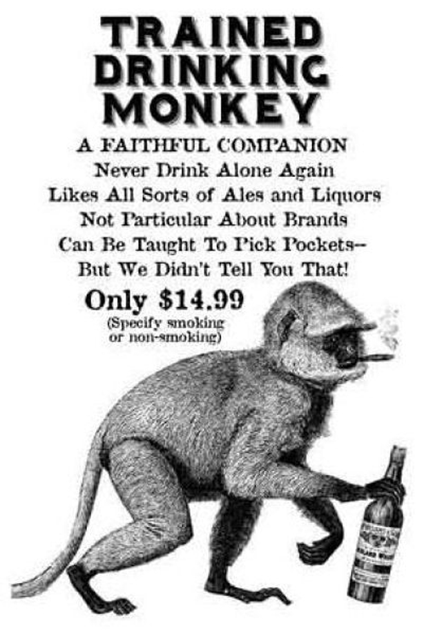 trained_drinking_monkey.jpg