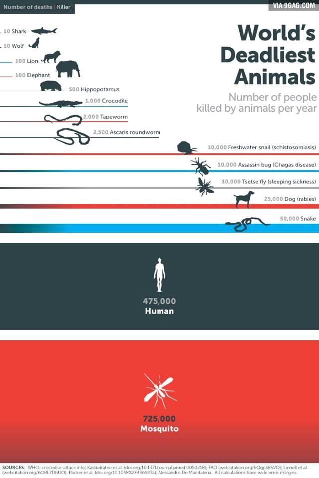 worlds_deadliest_animals.jpg