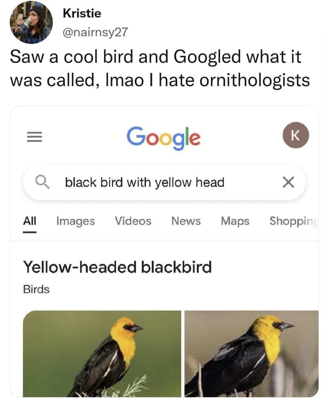yellow-headed_blackbird.jpg
