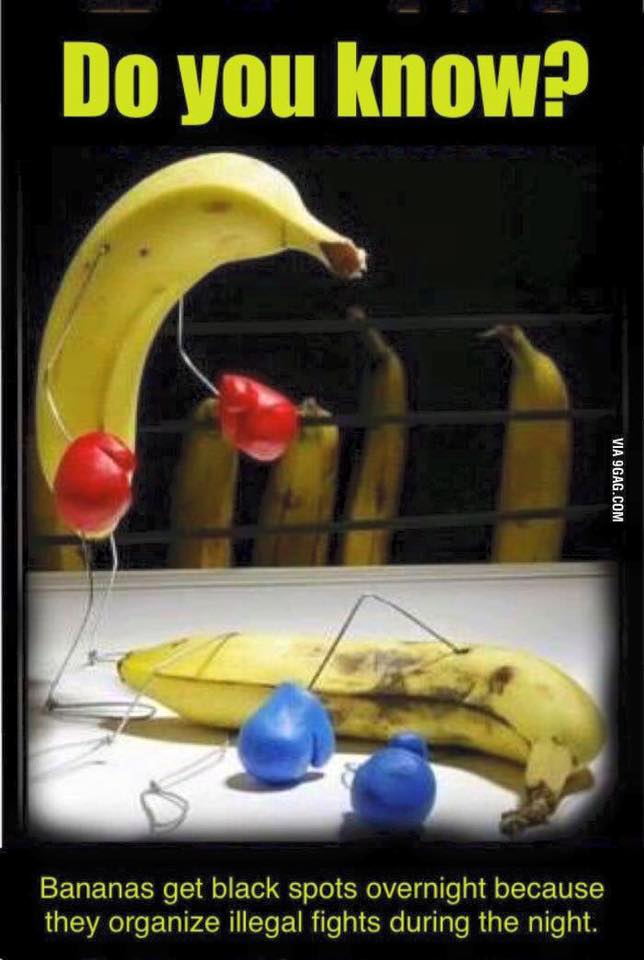 banana_fights.jpg