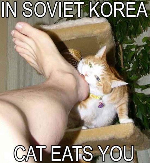 cat_eats_you.jpeg