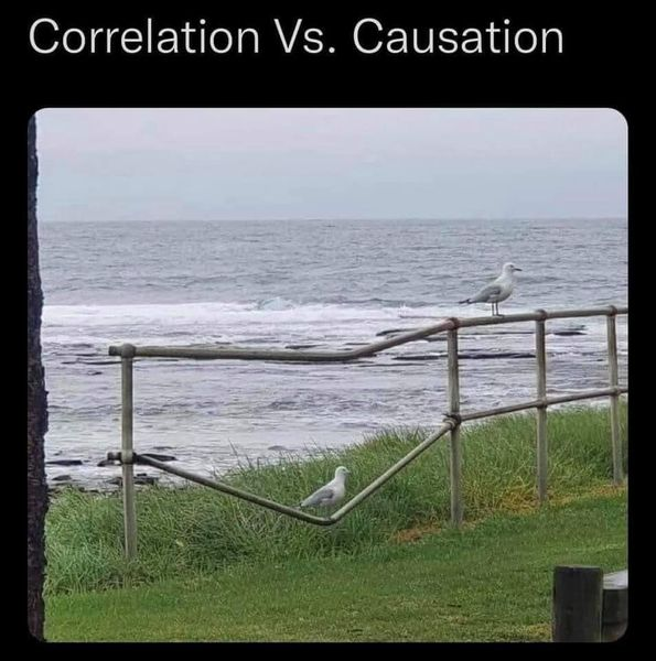 correlation_vs_causation.png