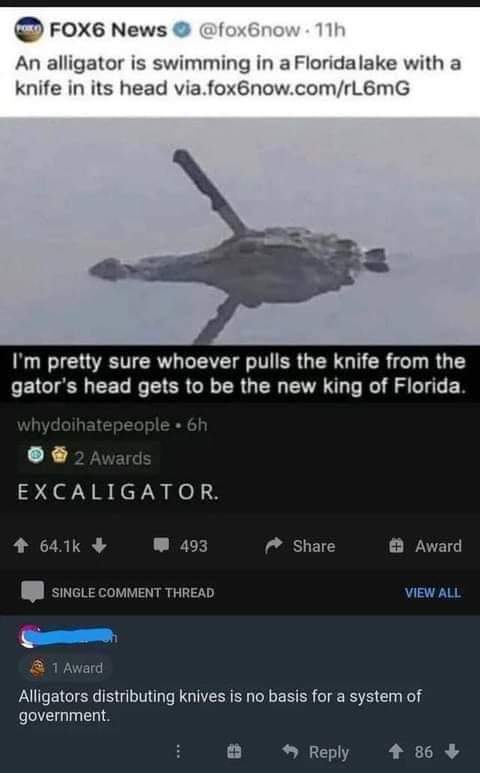 king_of_Florida_wanted.jpg