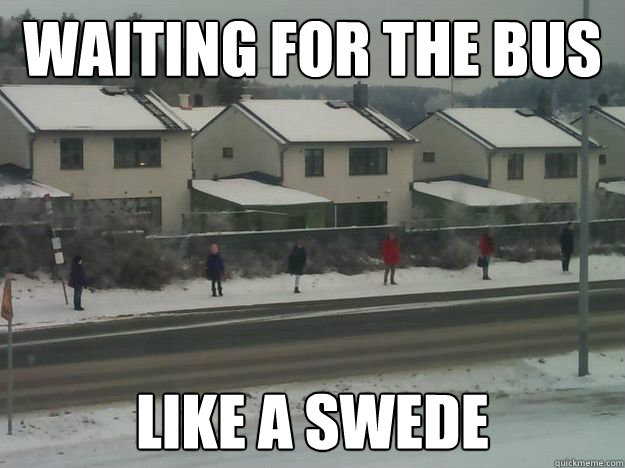 like_a_swede.jpg