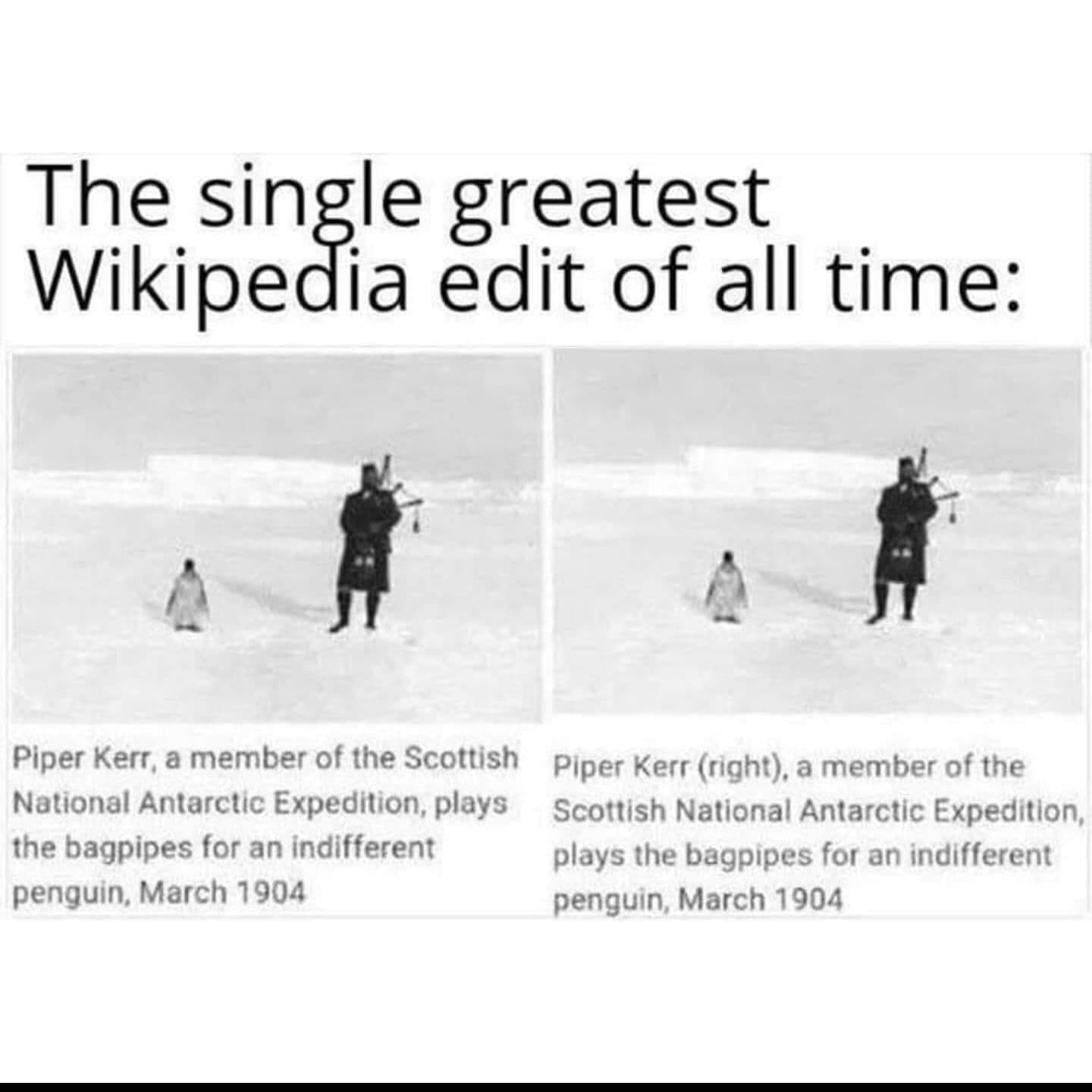 the_single_greatest_wikipedia_edit.jpg