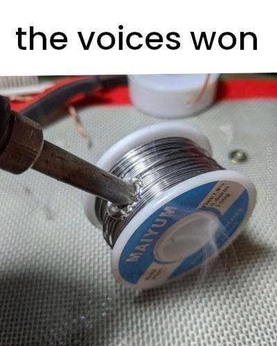 the_voices_won.jpg