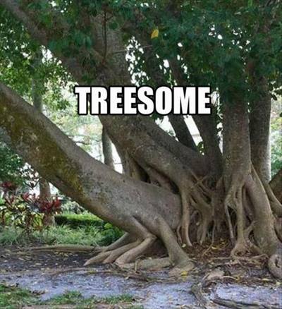 treesome.jpg