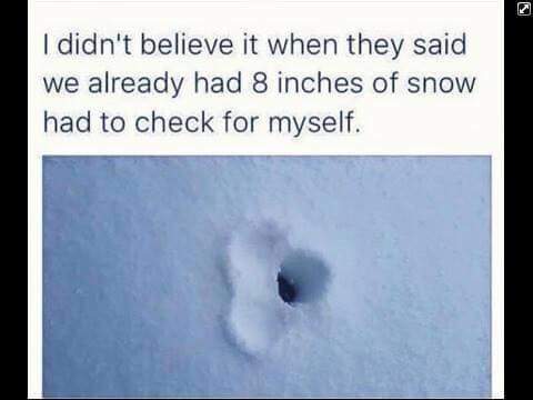 8_inches_of_snow.jpg