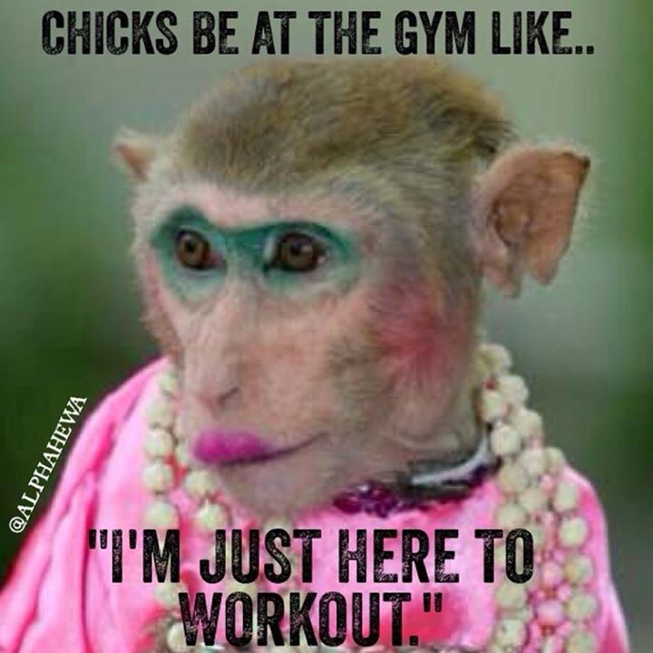 chicks_in_the_gym.jpg