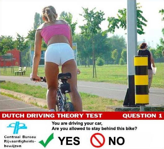 dutch_driving_test.jpg