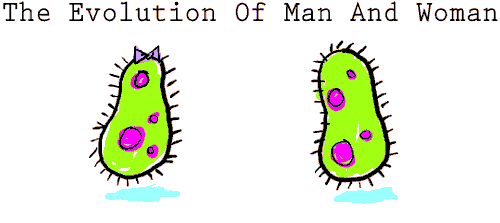 evolution_of_man_n_woman.gif