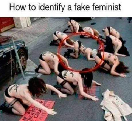 how_to_identify_a_fake_feminist.jpg