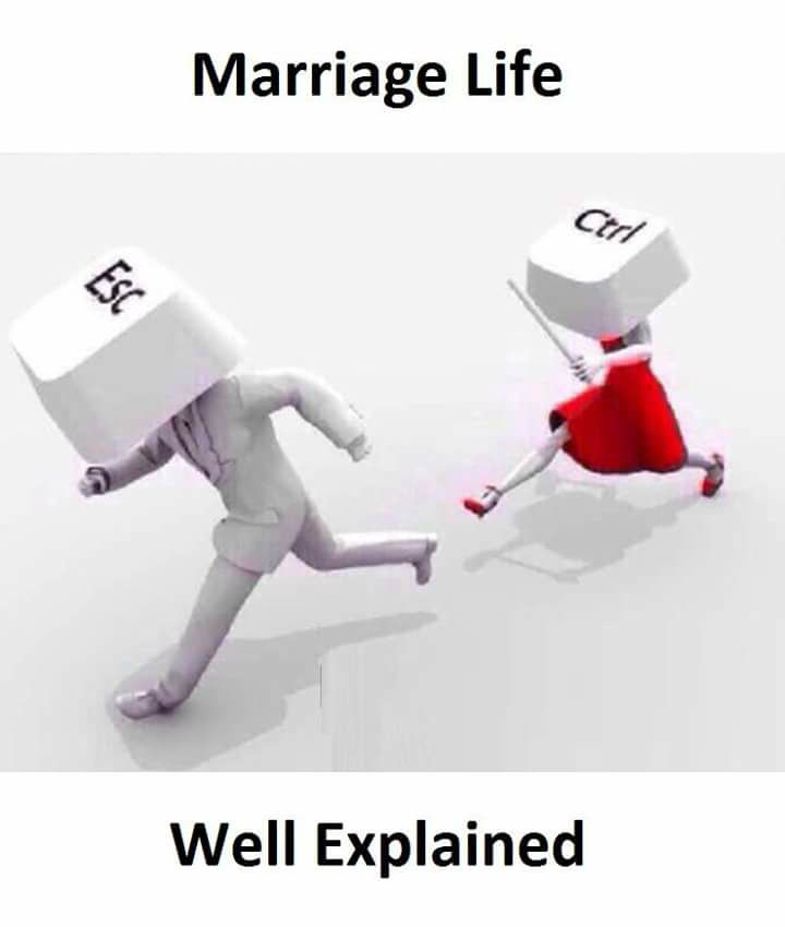 marriage_life_explained.jpg