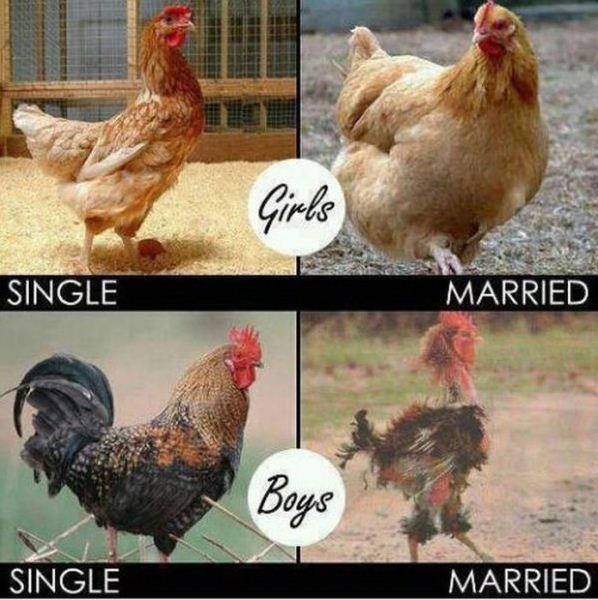 married_vs_single.jpg