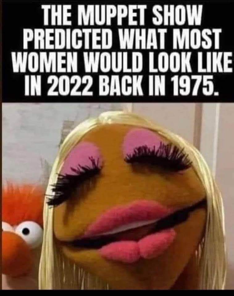 muppet_show_predictions.jpg