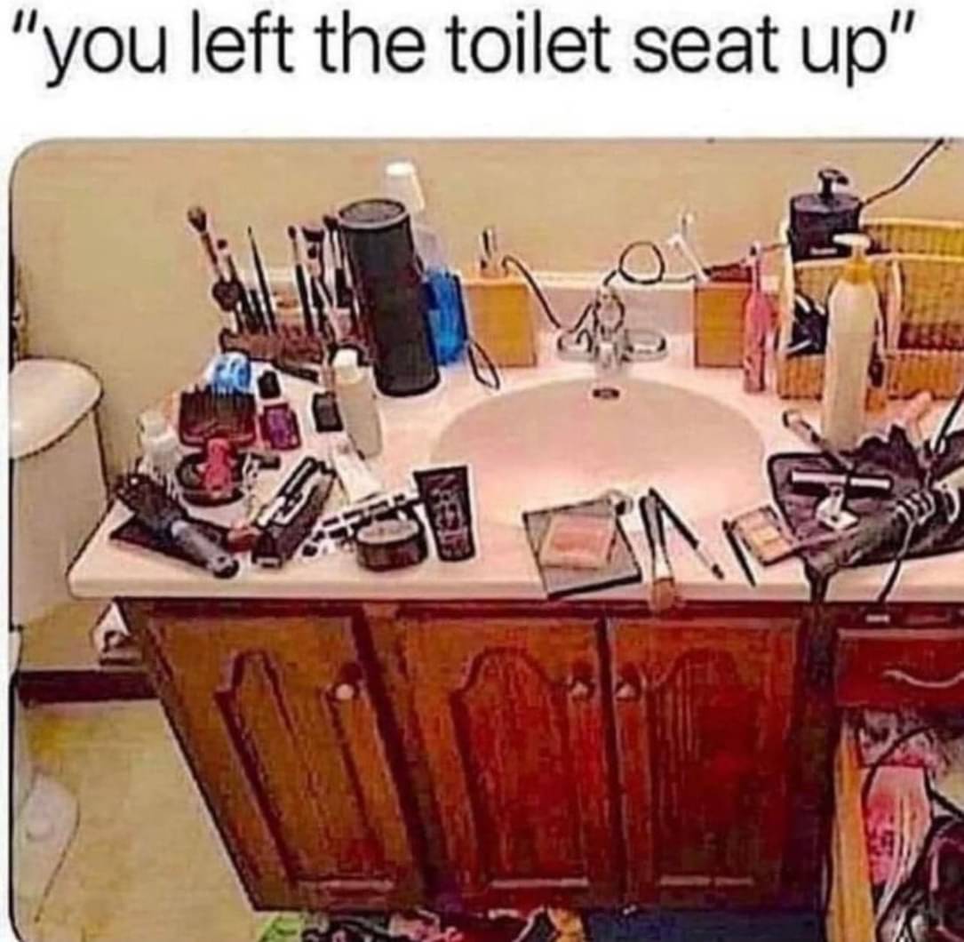 you_left_the_toilet_seat_up.jpg