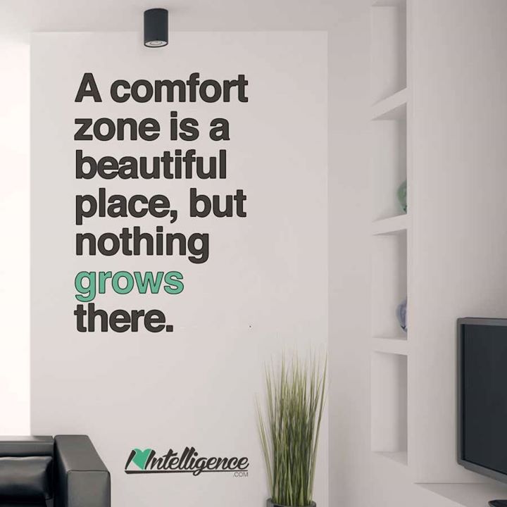 comfort_zone.jpg