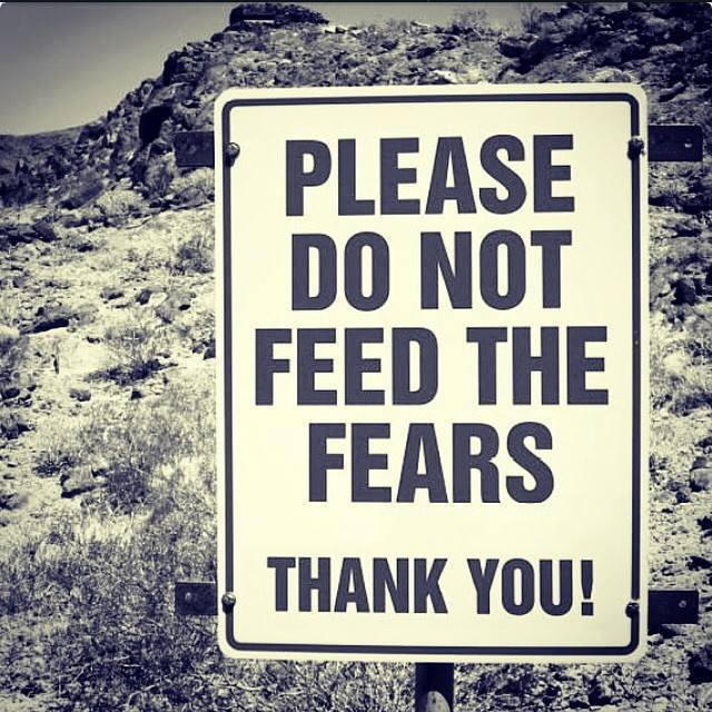 do_not_feed_the_fears.jpg