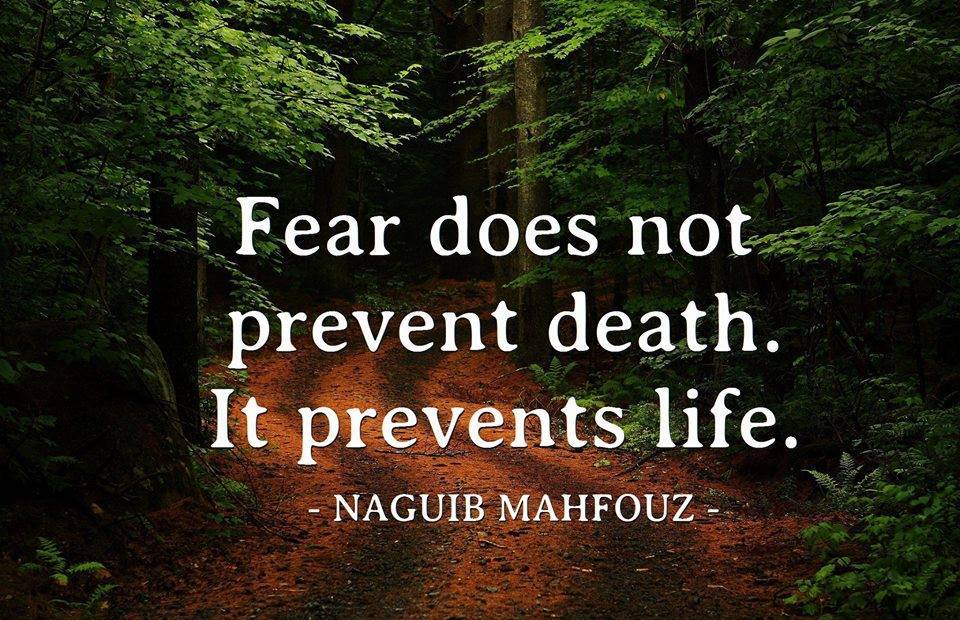 fear_does_not_prevent_death.jpg