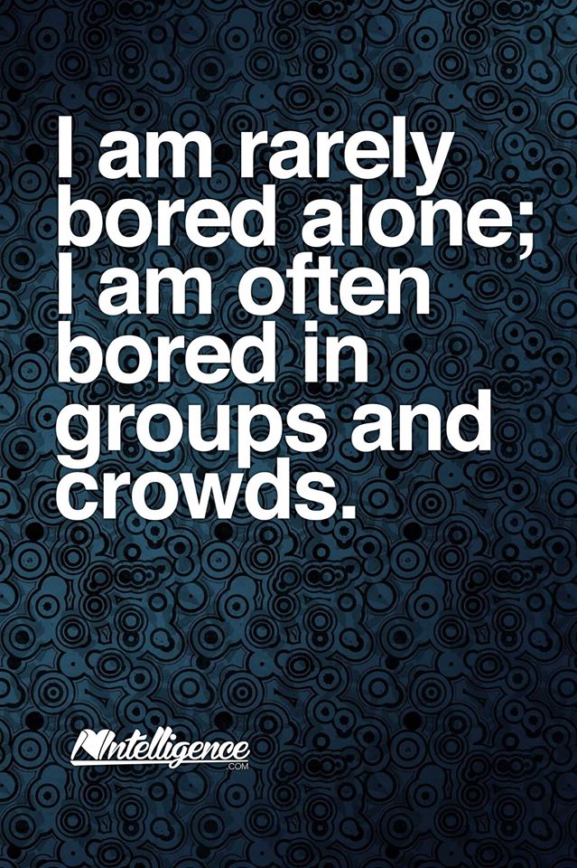 i_am_rarely_bored_alone.jpg