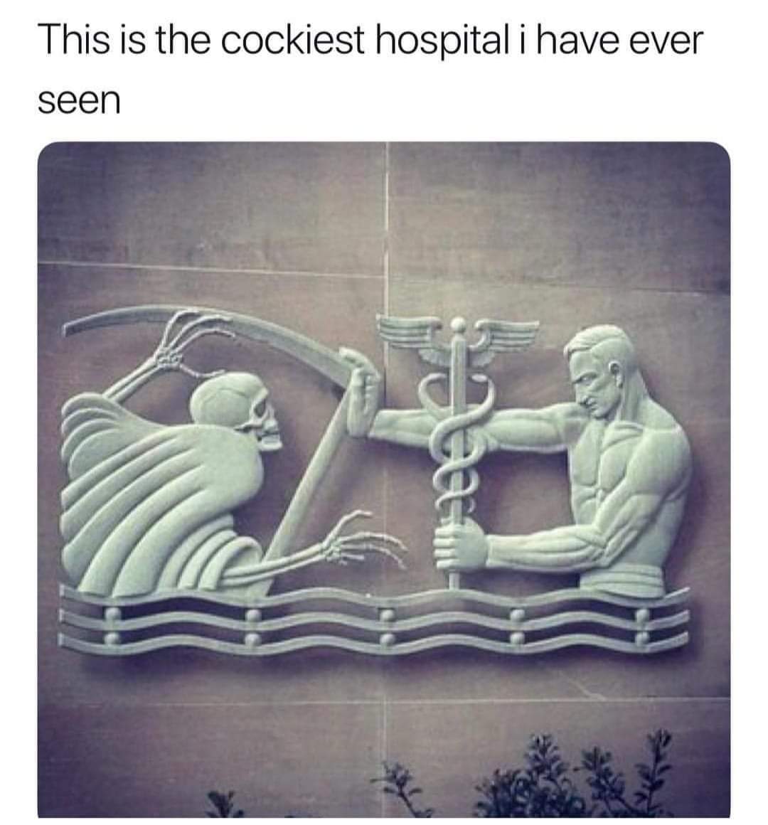 the_cockiest_hospital.jpg