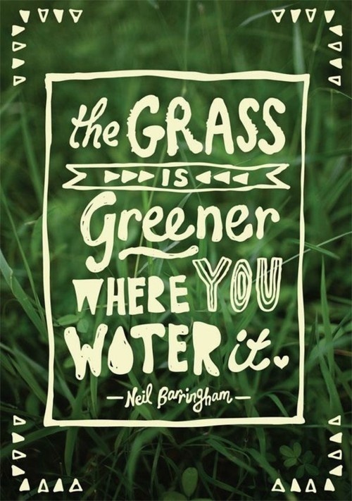 the_grass_is_greener.jpg