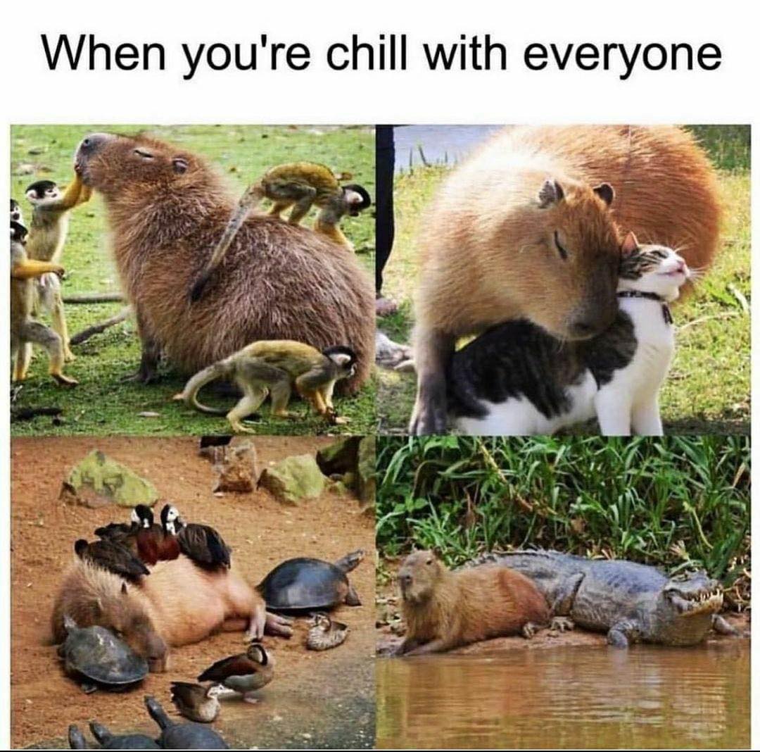 when_you_are_chill_with_everyone.jpg