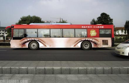 bus3.jpg