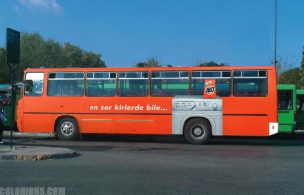 bus8.jpg