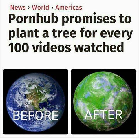 pronhub_promises_to_plant_a_tree.jpg