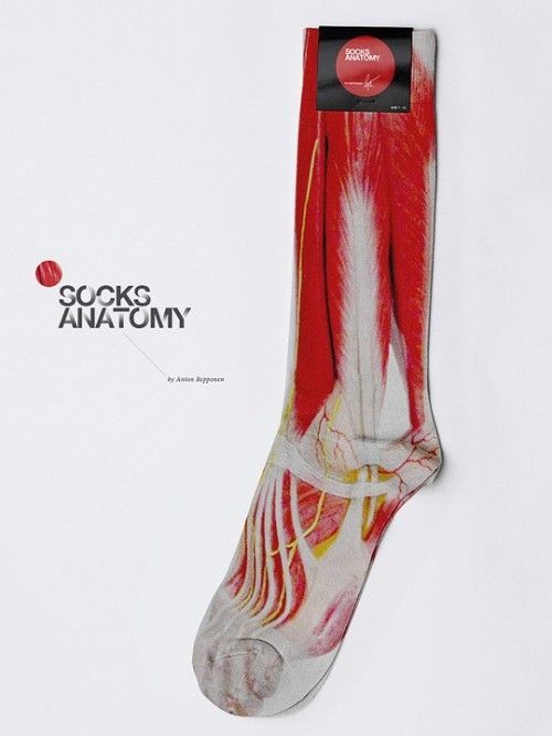 socks_anatomy.jpg
